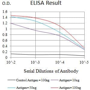 Monoclonal Mouse anti-Human LTBR Antibody (clone 1D1C5C8, WB)