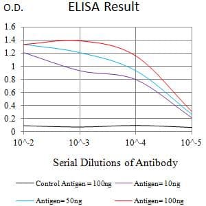 Monoclonal Mouse anti-Human IL2RG / CD132 Antibody (clone 4A8E5, WB)