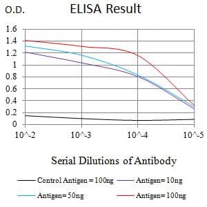 Monoclonal Mouse anti-Human SETD7 / SET7 Antibody (clone 1B3B8, WB)