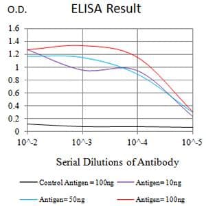 ATG4A Antibody (clone 8E8G2)