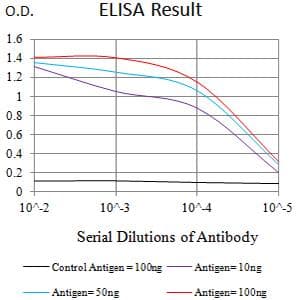 Monoclonal Mouse anti-Human LILRA2 / CD85h / ILT1 Antibody (clone 2G5E12, WB)