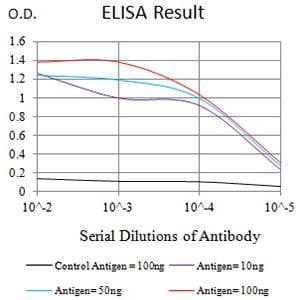 IL21 Receptor Antibody (clone 8H10G4D12)