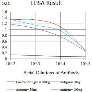 Monoclonal Mouse anti-Human CD72 Antibody (clone 4G4B1, WB)
