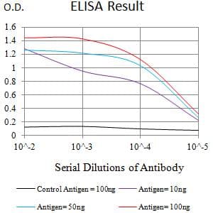 TNFRSF1B / TNFR2 Antibody (clone 7G8B6)