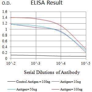 Monoclonal Mouse anti-Human APOER2 / LRP8 Antibody (clone 7G12E2, WB)