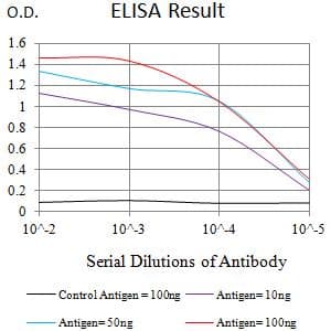 Monoclonal Mouse anti-Human LRP4 Antibody (clone 7A12B4, WB)