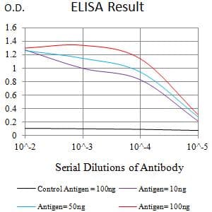 Monoclonal Mouse anti-Human EDA2R / XEDAR Antibody (clone 4A6B4, WB)