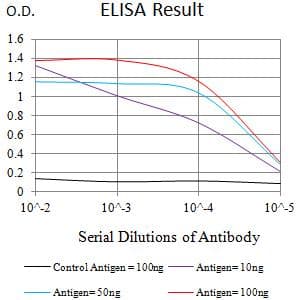 Monoclonal Mouse anti-Human FUT3 Antibody (clone 1F8G5C7, WB)