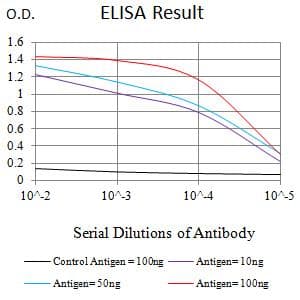 Monoclonal Mouse anti-Human KDR / VEGFR2 / FLK1 Antibody (clone 1A9A3, WB)