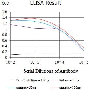 TNFRSF10B / Killer / DR5 Antibody (clone 2H5B8)