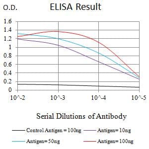 Monoclonal Mouse anti-Human MORF / MYST4 Antibody (clone 8C8D12, WB)