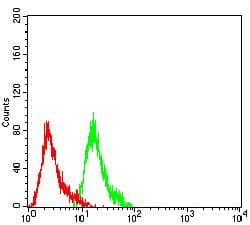 NFKB2 Antibody (clone 2F10A7)