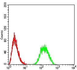 IL6ST / CD130 / gp130 Antibody (clone 8D4C5)
