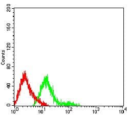 Monoclonal Mouse anti-Human FUT3 Antibody (clone 1F8G5C7, WB)