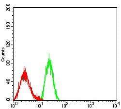 Monoclonal Mouse anti-Human ITGB2 / CD18 Antibody (clone 3D1B3, WB)