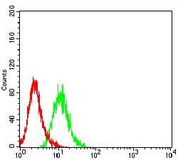 Monoclonal Mouse anti-Human CD27 Antibody (clone 3B6D3, WB)