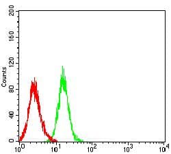 Monoclonal Mouse anti-Human CD274 / B7-H1 / PD-L1 Antibody (clone 6D9A2, IHC, WB)