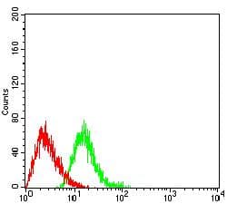 Monoclonal Mouse anti-Human TLR9 Antibody (clone 5B10E8, WB)