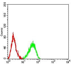 Monoclonal Mouse anti-Human JAG1 / Jagged 1 Antibody (clone 7C7H2, WB)