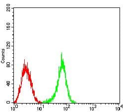 S1PR1 / EDG1 / S1P1 Antibody (clone 8E4H5)