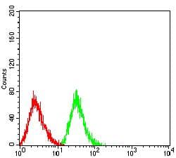 SPN / CD43 Antibody (clone 1H8B10)