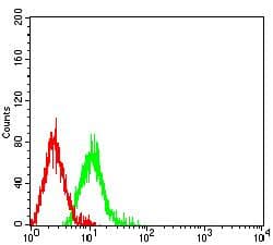 Monoclonal Mouse anti-Human CD46 Antibody (clone 5A8C11, WB)