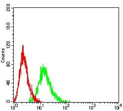 Monoclonal Mouse anti-Human ITGA5/Integrin Alpha 5/CD49e Antibody (clone 8D1G12, WB)