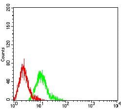B3GAT1 Antibody (clone 3F6D6)