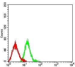 Monoclonal Mouse anti-Human ITGB3 / Integrin Beta 3 / CD61 Antibody (clone 3E8A6, IHC, WB)