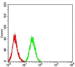 Monoclonal Mouse anti-Human CD72 Antibody (clone 4G4B1, WB)