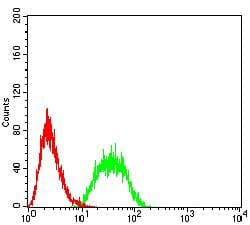 CD80 Antibody (clone 1G3D7)