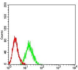 Monoclonal Mouse anti-Human SETD8 / SET8 Antibody (clone 7H1G10, WB)