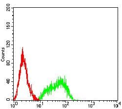 Monoclonal Mouse anti-Human APOER2 / LRP8 Antibody (clone 7G12E2, WB)