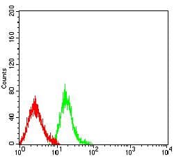 Monoclonal Mouse anti-Human LTBR Antibody (clone 1D1C5C8, WB)