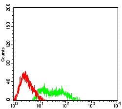 Monoclonal Mouse anti-Human MUC5B Antibody (clone 7F5A1, IHC, WB)