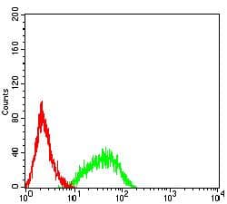 Monoclonal Mouse anti-Human RAB27B Antibody (clone 2G11C2, IHC, WB)