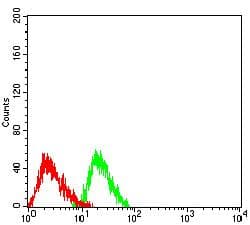 Monoclonal Mouse anti-Human RBFOX2 / RBM9 Antibody (clone 1E7G10, IHC, WB)