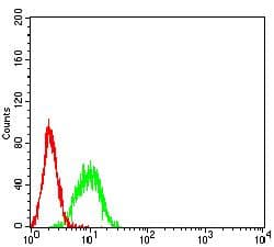 Monoclonal Mouse anti-Human BTN1A1 Antibody (clone 5B12B9, WB)