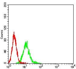 CEACAM5 / CD66e Antibody (clone 3B9C9)