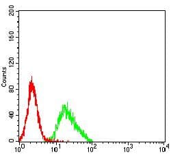 Monoclonal Mouse anti-Human LILRA2 / CD85h / ILT1 Antibody (clone 2G5E12, WB)