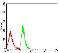 Monoclonal Mouse anti-Human VPREB1 / CD179A Antibody (clone 5F8F3, WB)