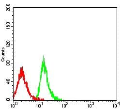 BCAM / CD239 Antibody (aa32-197, clone 5C5A6)