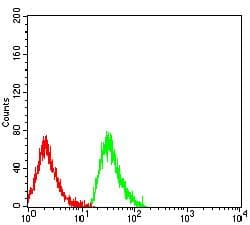 Monoclonal Mouse anti-Human EDA2R / XEDAR Antibody (clone 4A6B4, WB)