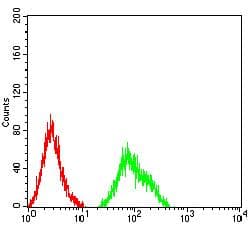 TNFRSF1B / TNFR2 Antibody (clone 7G8B6)