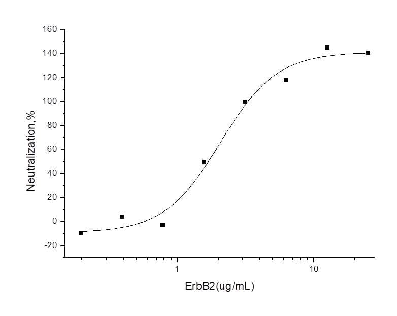 Human ERBB2 / HER2 Protein (Recombinant His,C-terminus)