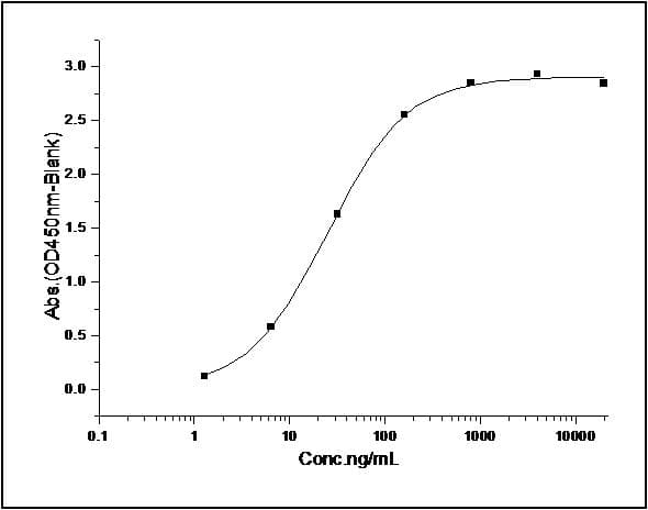 Zebrafish efnb2a Protein (Recombinant His,C-terminus)