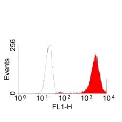 EGFR Antibody (Extracellular Domain, clone ICR10)
