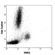 Monoclonal Mouse anti-Human CD33 Antibody (clone WM53, IHC, WB)