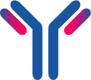 ARTN / Artemin Antibody (FITC)