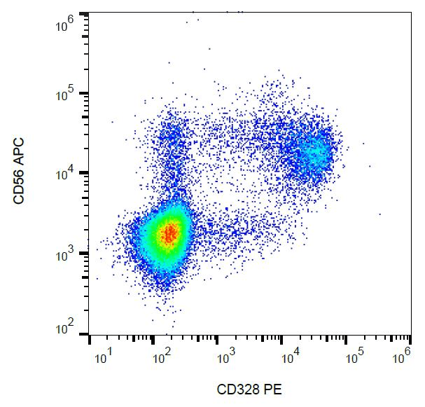 SIGLEC7 / CD328 Antibody (clone 6-434, PE)